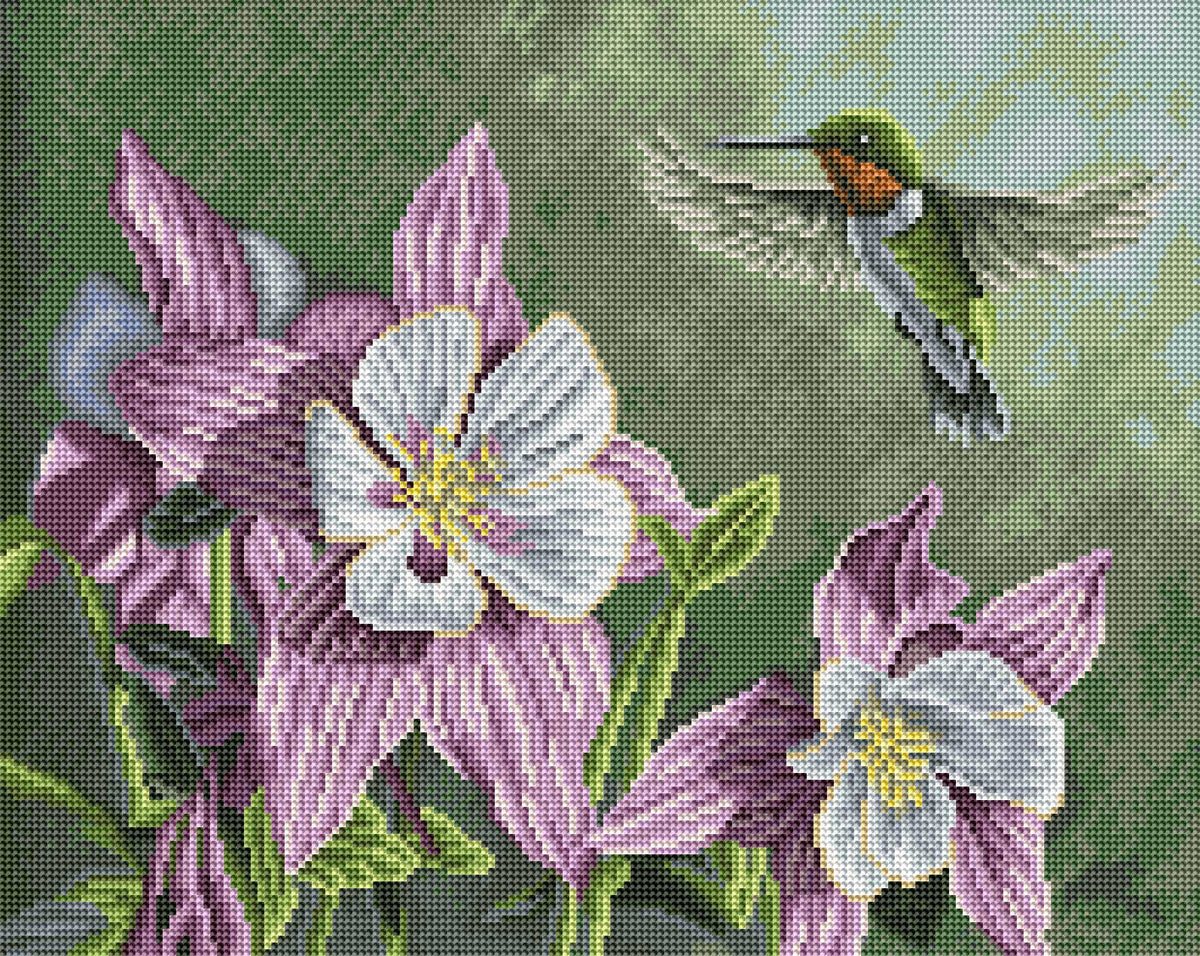 Hummingbird Pink