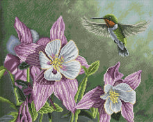 Hummingbird Pink