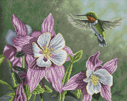 Hummingbird Pink